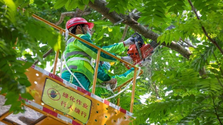 鸿永园园林绿化工程