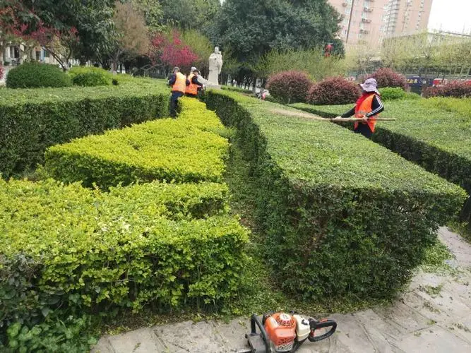 园林绿化工程及绘画专业