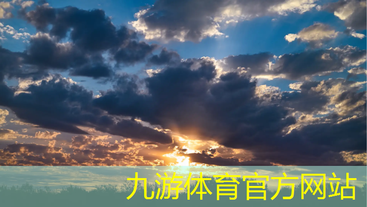 徐汇区正规绿化工程销售厂