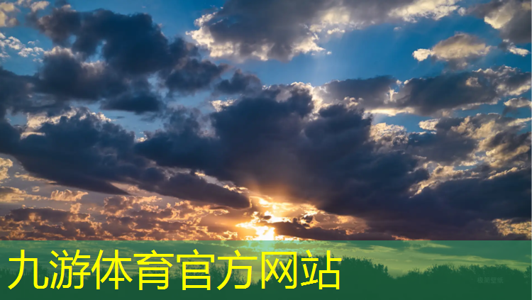 杨浦区绿化工程特价